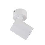 Spot sufitowy Snow 1 biały 1xGU10