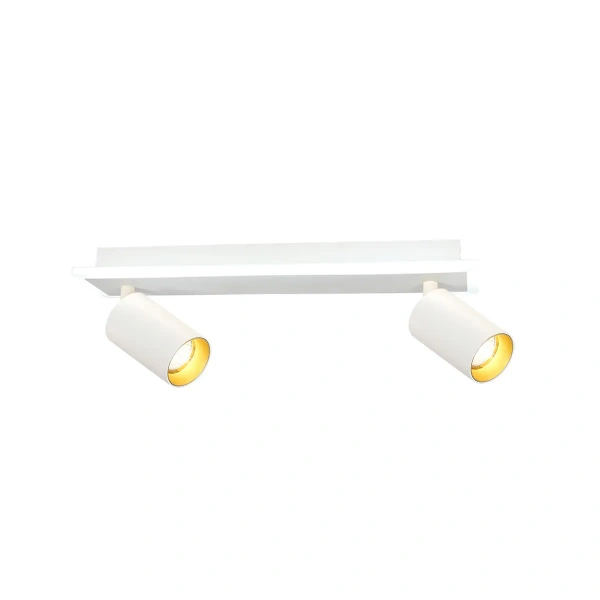 Spot sufitowy Parma 2 biały 2xGU10 + LED 8W CCT