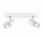 Spot sufitowy Bari 2