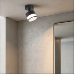 Spot sufitowy Kendal 1 transparentno-czarny 1xGX53