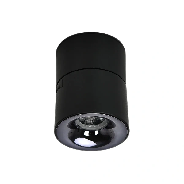 Oprawa natynkowa Brema ruchoma czarna LED CCT