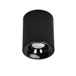 Oprawa natynkowa Tom czarna LED 10W CCT