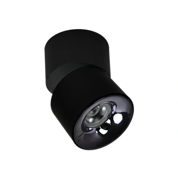 Oprawa natynkowa Brema ruchoma czarna LED CCT