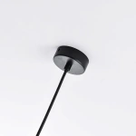 Lampa wisząca Roma 1 czarna 1xE14