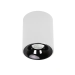 Oprawa natynkowa Tom biało-czarna LED 10W CCT