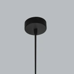 Lampa wisząca Savona 1 transparentno-czarna 1xE27