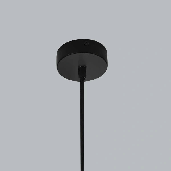 Lampa wisząca Savona 1 transparentno-czarna 1xE27