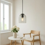 Lampa wisząca Elaris czarna z transparentnym kloszem 1xE27